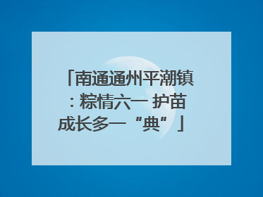 南通通州平潮镇：粽情六一 护苗成长多一“典”