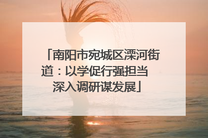南阳市宛城区溧河街道：以学促行强担当 深入调研谋发展