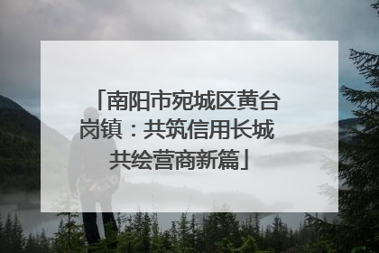 南阳市宛城区黄台岗镇：共筑信用长城 共绘营商新篇