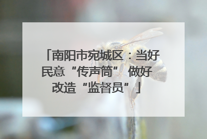 南阳市宛城区：当好民意“传声筒” 做好改造“监督员”