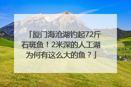厦门海沧湖钓起72斤石斑鱼！2米深的人工湖为何有这么大的鱼？