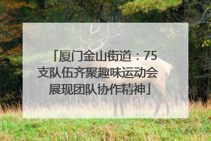 厦门金山街道：75支队伍齐聚趣味运动会 展现团队协作精神