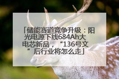 储能赛道竞争升级：阳光电源下线684Ah大电芯新品，“136号文”后行业将怎么走