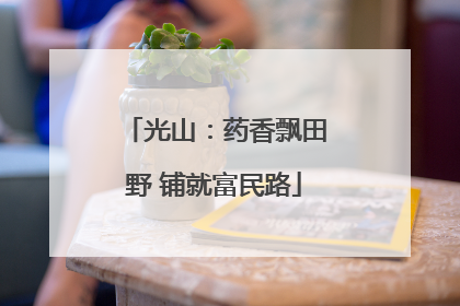 光山：药香飘田野 铺就富民路
