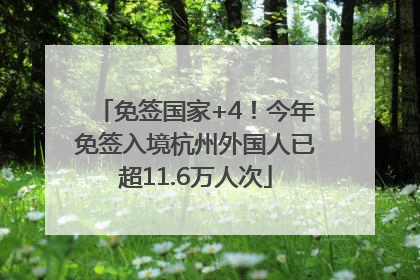 免签国家+4！今年免签入境杭州外国人已超11.6万人次