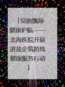 党旗飘扬·健康护航——北海医院开展进盐企筑防线健康服务行动