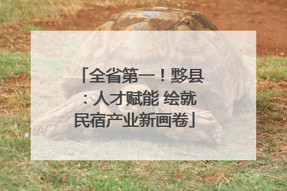 全省第一！黟县：人才赋能 绘就民宿产业新画卷