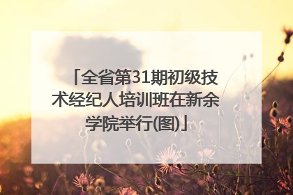 全省第31期初级技术经纪人培训班在新余学院举行(图)