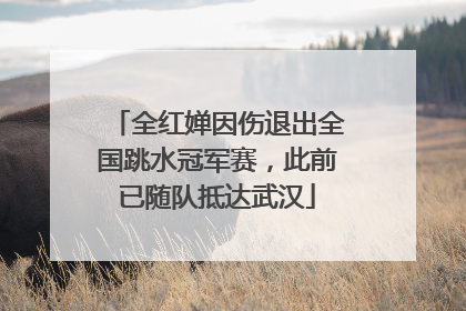 全红婵因伤退出全国跳水冠军赛，此前已随队抵达武汉