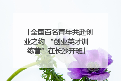 全国百名青年共赴创业之约 “创业英才训练营”在长沙开班