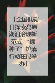 全国低碳日探索高原湖泊治理新范式 “绿种子”护滇行动在昆举办