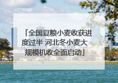 全国夏粮小麦收获进度过半 河北冬小麦大规模机收全面启动