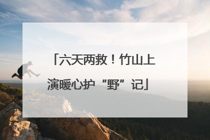 六天两救！竹山上演暖心护“野”记