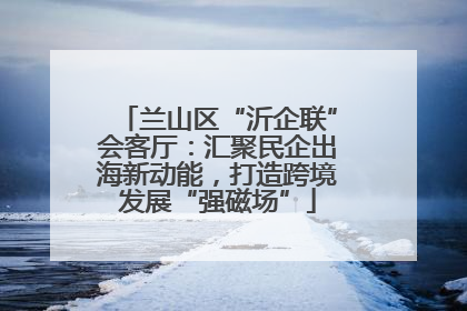 兰山区“沂企联”会客厅：汇聚民企出海新动能，打造跨境发展“强磁场”