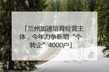 兰州加速培育经营主体，今年力争新增“个转企”4000户