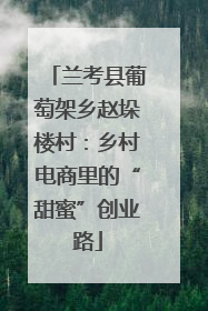 兰考县葡萄架乡赵垛楼村：乡村电商里的“甜蜜”创业路