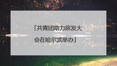 共青团助力旅发大会在哈尔滨举办