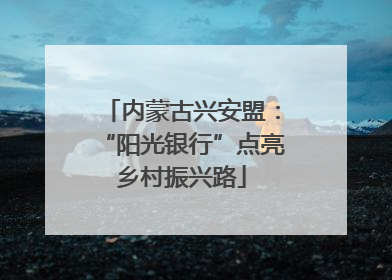 内蒙古兴安盟：“阳光银行”点亮乡村振兴路
