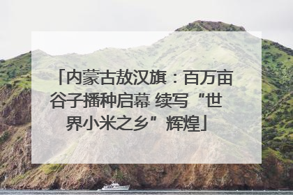 内蒙古敖汉旗：百万亩谷子播种启幕 续写“世界小米之乡”辉煌