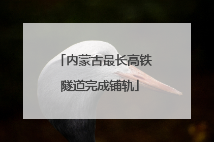 内蒙古最长高铁隧道完成铺轨