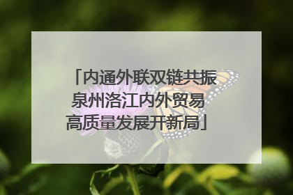 内通外联双链共振 泉州洛江内外贸易高质量发展开新局