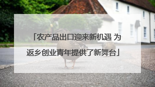 农产品出口迎来新机遇 为返乡创业青年提供了新舞台