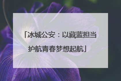 冰城公安：以藏蓝担当 护航青春梦想起航