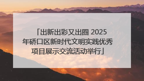 出新出彩又出圈 2025年硚口区新时代文明实践优秀项目展示交流活动举行