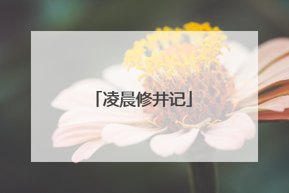 凌晨修井记