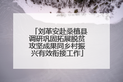 刘革安赴桑植县调研巩固拓展脱贫攻坚成果同乡村振兴有效衔接工作