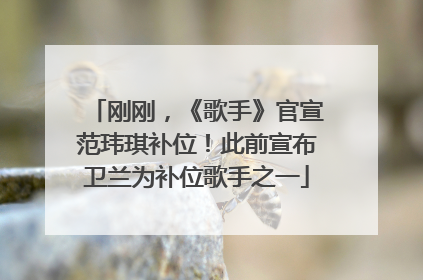 刚刚，《歌手》官宣范玮琪补位！此前宣布卫兰为补位歌手之一
