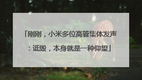 刚刚，小米多位高管集体发声：诋毁，本身就是一种仰望