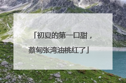 初夏的第一口甜，蔡甸张湾油桃红了