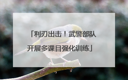利刃出击！武警部队开展多课目强化训练
