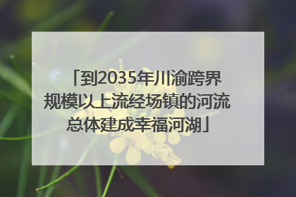 到2035年川渝跨界规模以上流经场镇的河流总体建成幸福河湖