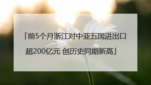 前5个月浙江对中亚五国进出口超200亿元 创历史同期新高
