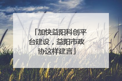 加快益阳科创平台建设，益阳市政协这样建言