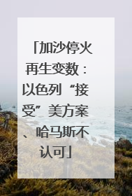 加沙停火再生变数：以色列“接受”美方案、哈马斯不认可