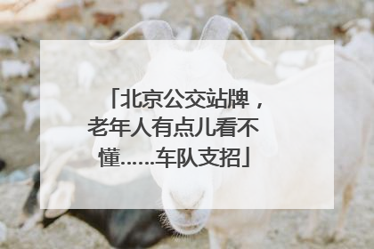 北京公交站牌，老年人有点儿看不懂……车队支招