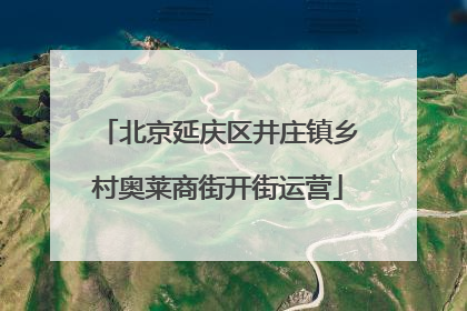 北京延庆区井庄镇乡村奥莱商街开街运营