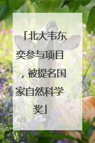 北大韦东奕参与项目，被提名国家自然科学奖