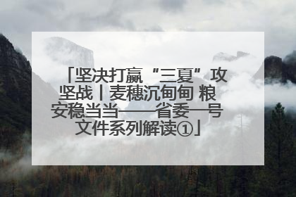 坚决打赢“三夏”攻坚战丨麦穗沉甸甸 粮安稳当当——省委一号文件系列解读①