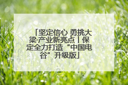 坚定信心 勇挑大梁·产业新亮点丨保定全力打造“中国电谷”升级版