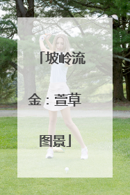 坡岭流金：萱草图景