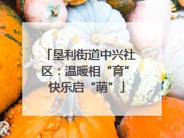 垦利街道中兴社区：温暖相“育” 快乐启“萌”