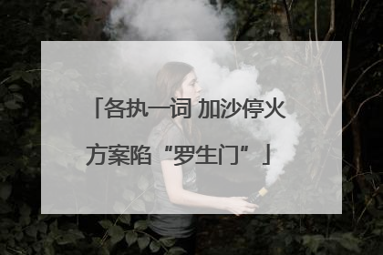 各执一词 加沙停火方案陷“罗生门”