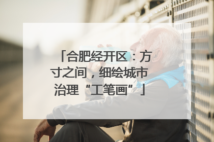 合肥经开区：方寸之间，细绘城市治理“工笔画”