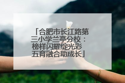 合肥市长江路第三小学兰亭分校：榜样闪耀绽光彩 五育融合助成长
