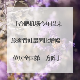 合肥机场今年以来旅客吞吐量同比增幅位居全国第一方阵
