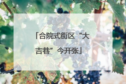 合院式街区“大吉巷”今开张